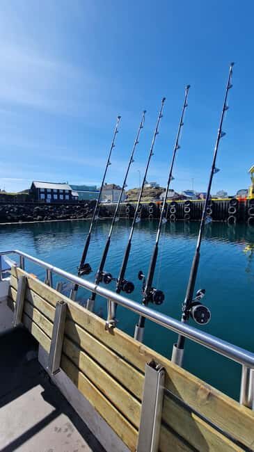 Stykkishólmur: Sea Angling Tour with Local Guide - In-Depth Review: What to Expect on the Sea Angling Tour from Stykkishólmur