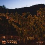 Sugano: Goblets at Sunset Experience - A Detailed Look at the Sugano Sunset Experience