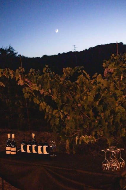 Sugano: Goblets at Sunset Experience - A Detailed Look at the Sugano Sunset Experience