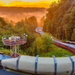 Summer Bobsleigh Adventure in Sigulda - The Complete Picture of the Summer Bobsleigh Adventure