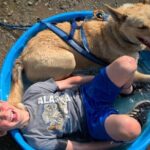 Summer Dog Sledding Adventure in Willow, Alaska - Detailed Breakdown of the Experience
