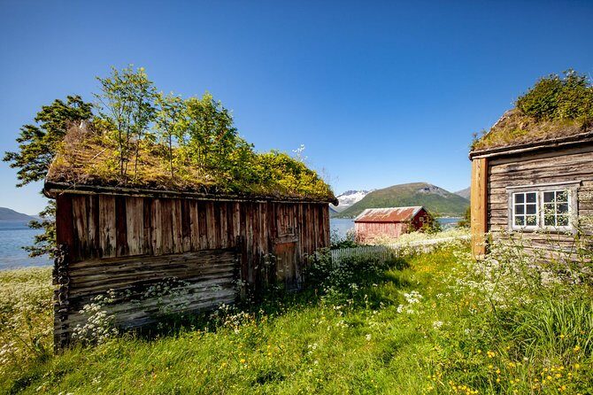 Summer Fjord Road Trip with Citizen Science with Wandering Owl - In-Depth Breakdown of the Itinerary