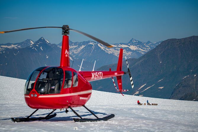 Summer Glacier Dogsledding Tour from Girdwood - Who Should Consider This Tour?