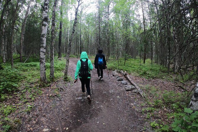 Summer Valley and Forest Hike - The Sum Up