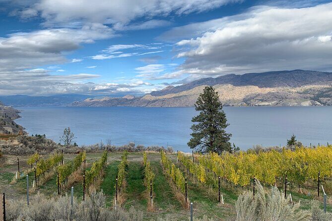 Summerland Half Day Wine Tour (Incl. Tasting Fees & Guide Grat!) - The Sum Up: Is It Worth It?