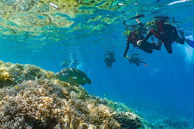 Sunlover Reef Cruises Cairns Great Barrier Reef Experience - Introduction to the Reef Adventure