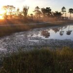 Sunrise at Kemeri National Park - Practical Tips for Making the Most of Your Sunrise Tour