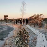Sunrise at Kemeri National park + Jurmala - Why This Tour Works Well for Travelers