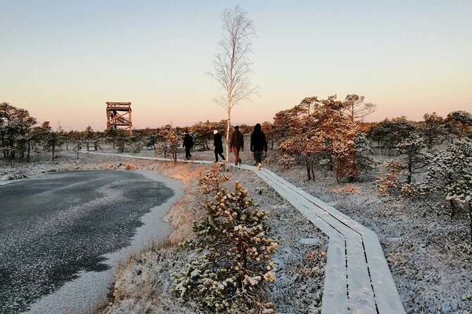 Sunrise at Kemeri National park + Jurmala - Why This Tour Works Well for Travelers