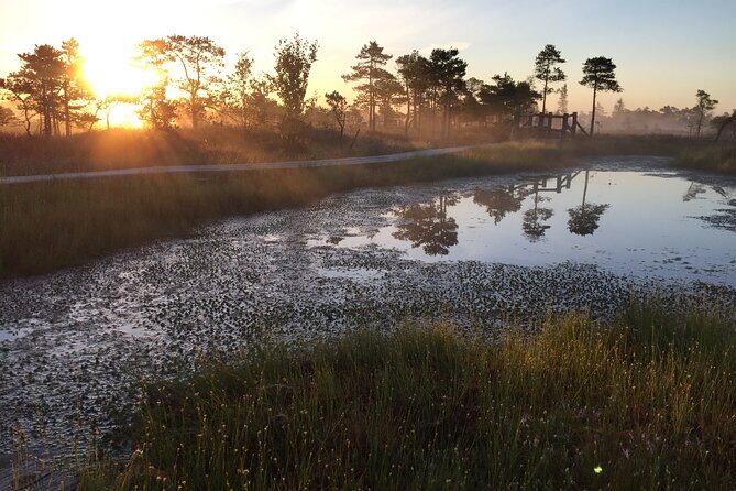 Sunrise at Kemeri National Park - Practical Tips for Making the Most of Your Sunrise Tour