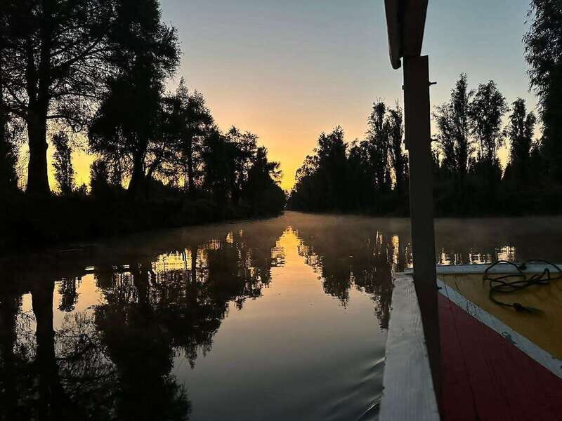 Sunrise in Xochimilco - Why This Tour Is Worth Your Time
