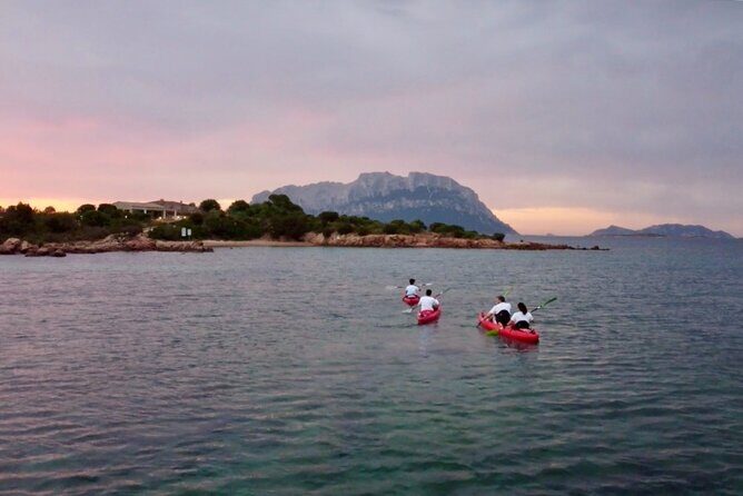 Sunrise Kayak Tour with Snorkeling and Coffee Experience - Why It Stands Out