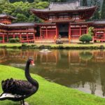 Sunrise Plus Island Tour - A Detailed Look at the Sunrise Plus Island Tour