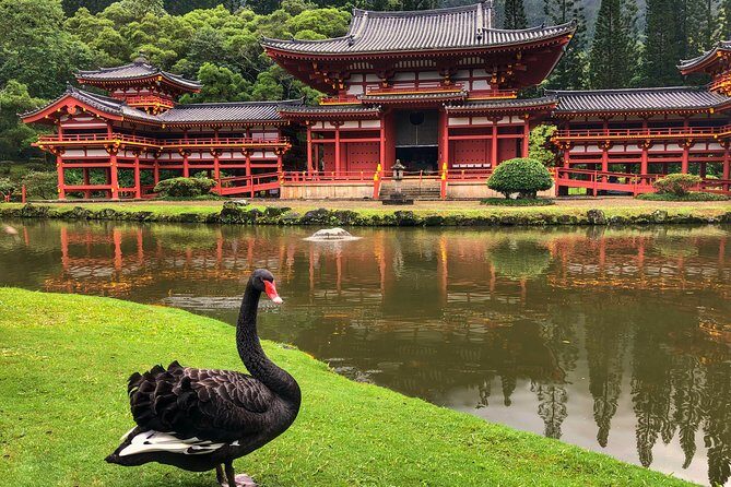 Sunrise Plus Island Tour - A Detailed Look at the Sunrise Plus Island Tour