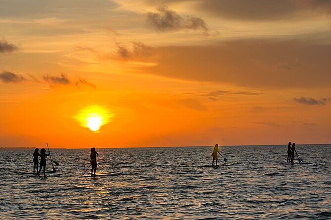 Sunrise Stand Up Paddle activity on a privileged beach. - What to Expect: Day-by-Day Breakdown