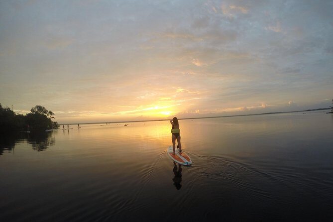Sunrise Tour (Stand Up Paddle or Kayak) - What to Expect from the Sunrise Paddle Tour