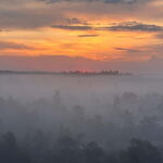 Sunrise Tour To Great Kemeri Bog - A Closer Look at the Experience