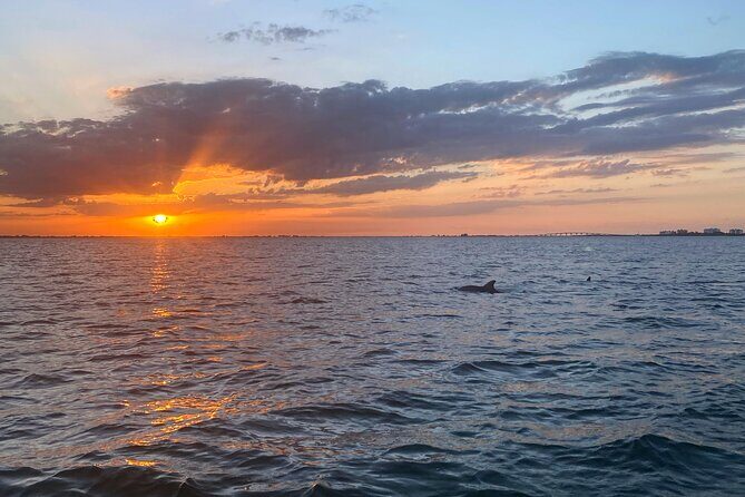 Sunset and Dolphin Cruise around Fort Myers Beach - What to Expect on Your Fort Myers Beach Sunset and Dolphin Cruise