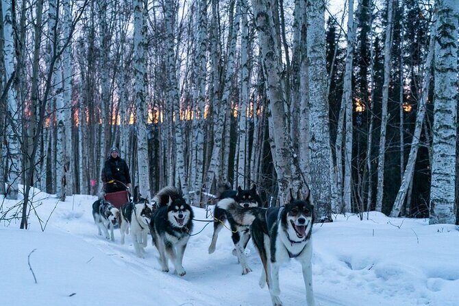 Sunset and Full Moon or Extended Ridge Top Mush - Who Will Love This Tour?