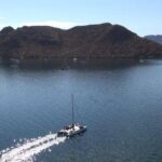 Sunset Appetizers & Open Bar Catamaran Cruise - Who Will Love This Tour?