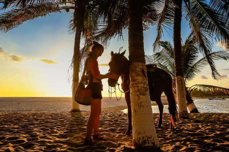 Sunset by Horse on the Beach - Who Will Love This Tour?