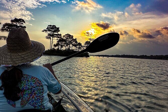 Sunset Clear Kayak Tour Destin Ft. Walton Beach - Who Will Love This Tour?