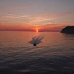 Sunset Cruise - Who Should Consider This Experience?