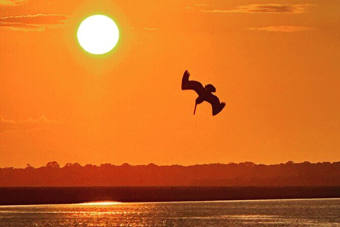 Sunset Dolphin Cruise (options for public of private) - FAQ