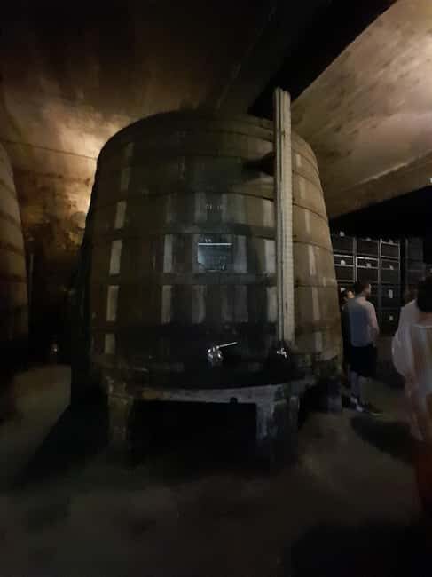 Sunset Douro melhor experiência vinho e comida Portuguesa - What’s included and what isn’t