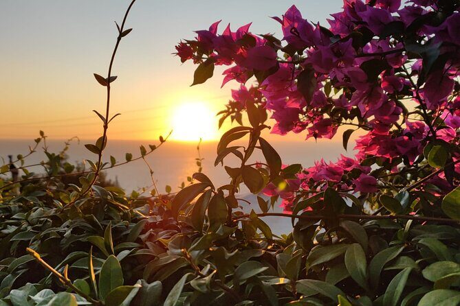 Sunset E-Bike Tour on the Sorrento Peninsula - Key Points