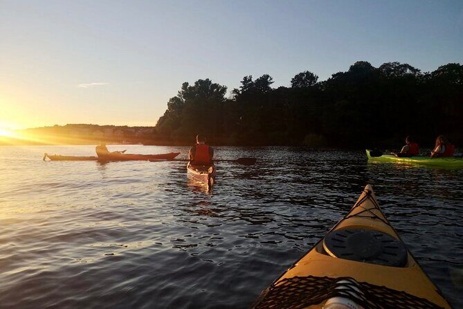 Sunset Kayak Tour in Central Stockholm and Swedish Fika - Exploring Stockholm from the Water: A Detailed Review