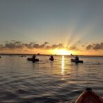 Sunset kayaking tour at Manatee Cove with Manatee & Dolphin sightings - An In-Depth Look at the Sunset Kayaking Adventure