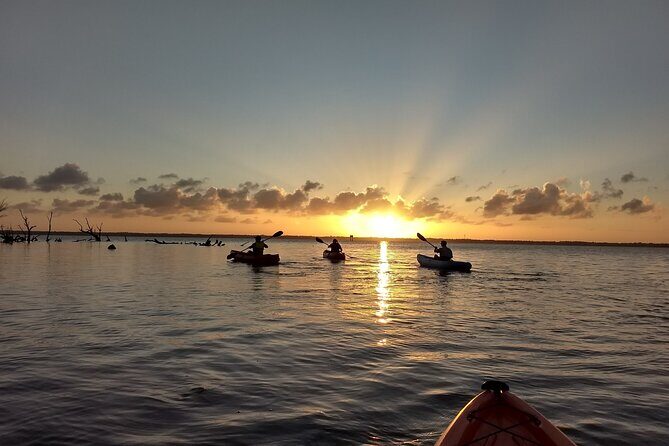 Sunset kayaking tour at Manatee Cove with Manatee & Dolphin sightings - An In-Depth Look at the Sunset Kayaking Adventure