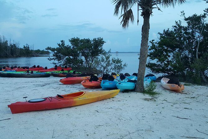 Sunset Kayaking w/ Florida Bioluminescence Combo Tour | Haulover canal - Authentic Experiences Shared by Travelers