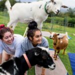 Sunset Maui Goat Yoga with Live Music - Why This Experience Offers Good Value