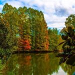 Sunset Photography Tour of Piedmont Park Atlanta - Who Should Consider This Tour?
