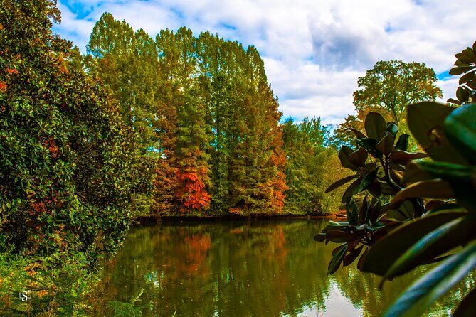 Sunset Photography Tour of Piedmont Park Atlanta