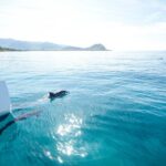 Sunset Sail Experience at Kona from Honokohau - The Experience in Detail