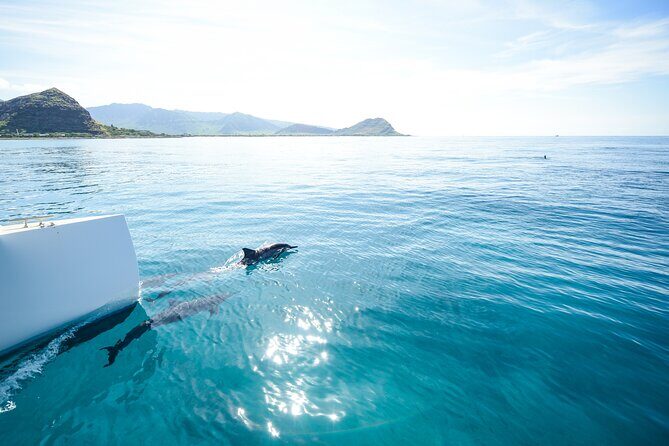 Sunset Sail Experience at Kona from Honokohau - The Experience in Detail