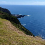 Sunset Tour - Ferraria & Mosteiros - Who Will Love This Tour?