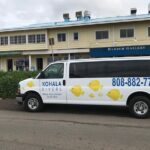 Sunset Whale Watching Shared Activity - Final Thoughts