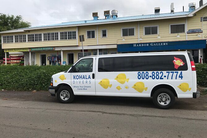 Sunset Whale Watching Shared Activity - Final Thoughts