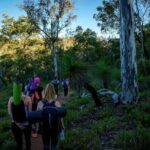 Sunset Yoga Hike in Australia - Frequently Asked Questions