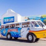 Sunshine Coast: 1-Hour Land and Water Tour - Exploring the Sunshine Coast: A Perfect Mix of Land, Water, and Stories
