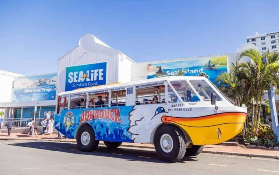 Sunshine Coast: 1-Hour Land and Water Tour - Exploring the Sunshine Coast: A Perfect Mix of Land, Water, and Stories