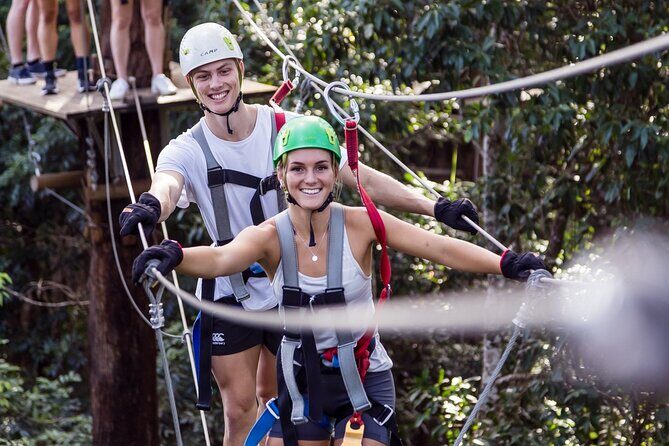 Sunshine Coast Adventure Park TreeTop Challenge - An In-Depth Look at the TreeTop Challenge Experience