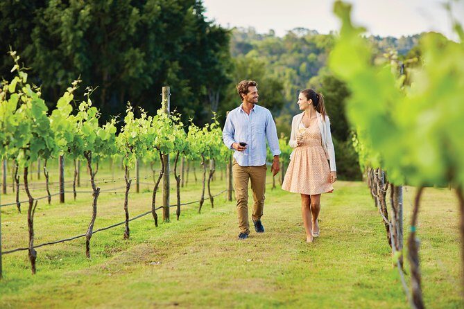 Sunshine Coast and Noosa Private Tour Inc. 2-Course Gourmet Lunch - Authentic Insights from Guests