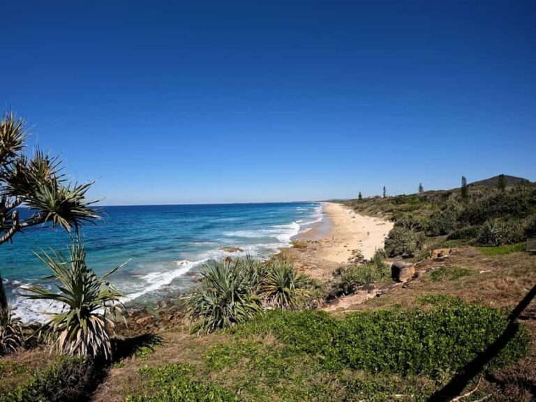 Sunshine Coast: Easy Peasy Novotel North E-Bike Tour - Who Should Consider This Tour?