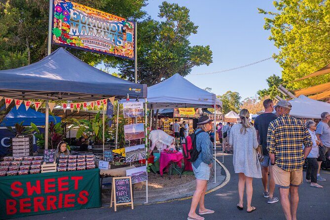 Sunshine Coast Hinterland Day Tour: Noosa, Eumundi and Montville - What Makes This Tour Stand Out?