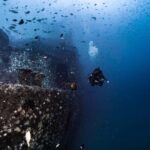 Sunshine Coast: Scuba Dive the Ex-HMAS Brisbane Ship Wreck - Final Thoughts: Is This Tour Right for You?